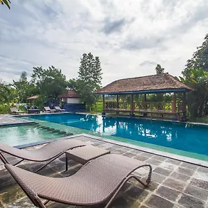 Suly Vegetarian & Hotel